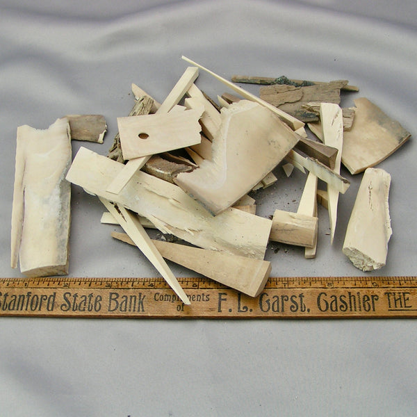 Mammoth Ivory Mixed  Pieces Lot (F) *We Pick* SALE *