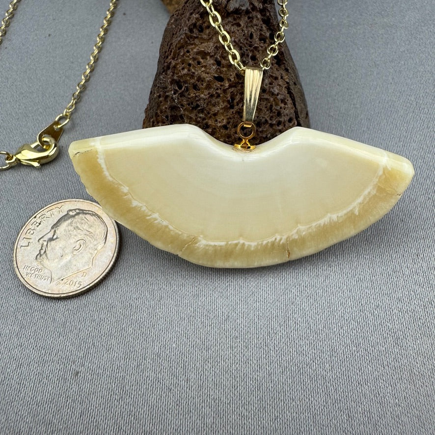 Narwhal Ivory Angel Pendant- NEW! - Sold 9.25.25