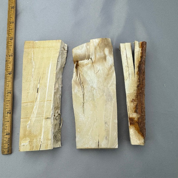 Mammoth Ivory Chunky Lots (D) *We Pick*