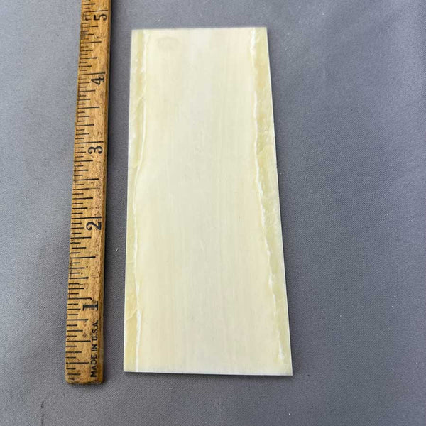 *RARE* Narwhal Ivory Slab - 10