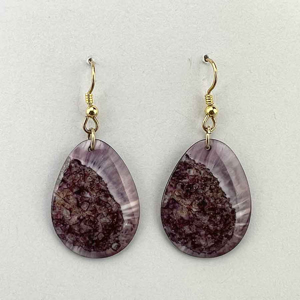 Fossil Walrus Gemtone Earrings Pair 31