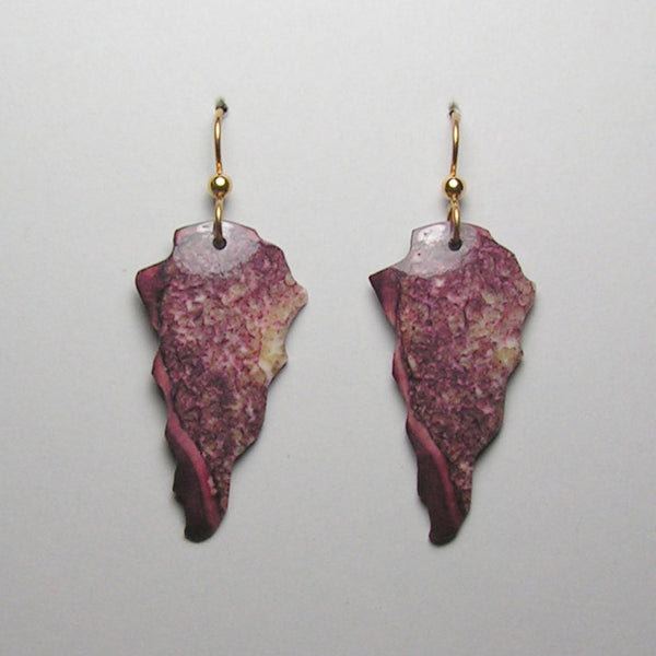 fossil walrus ivory earring