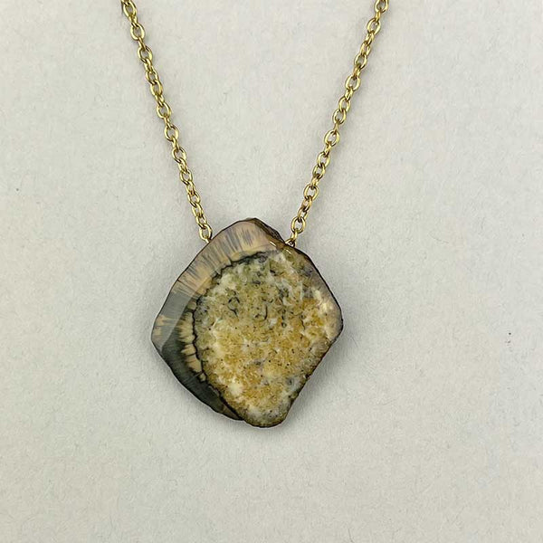 Fossil Walrus Gemtone Pendant 03