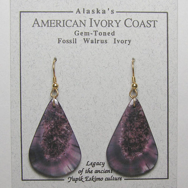 Fossil Walrus Gemtone Earrings Pair 17