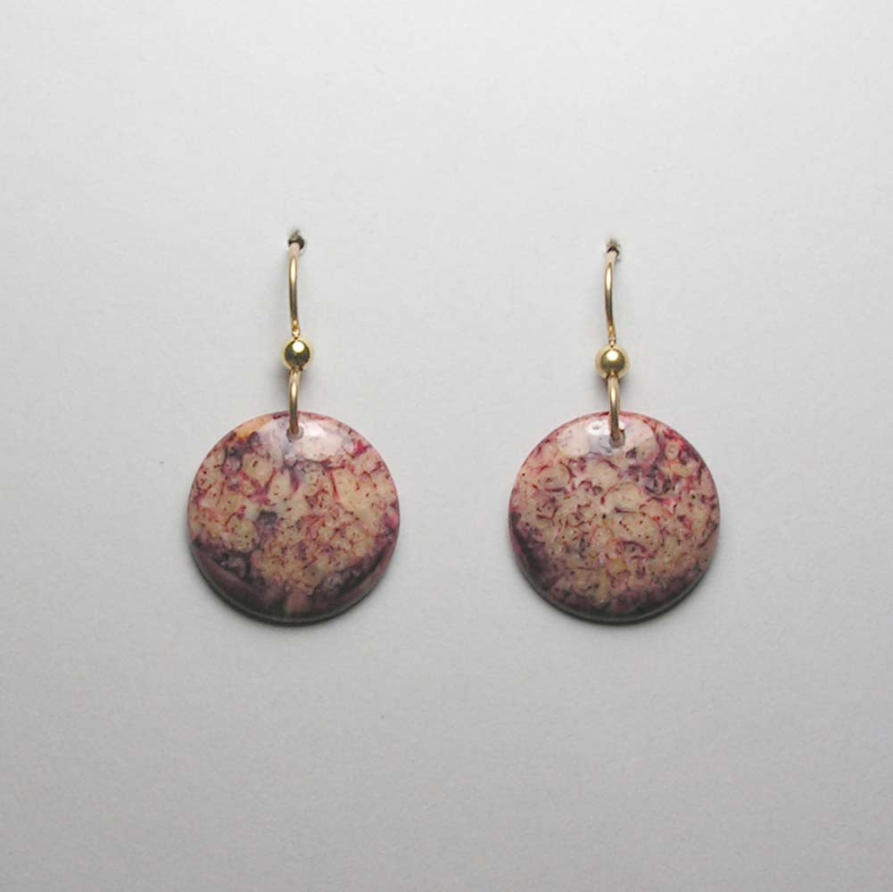 fossil walrus ivory earrings