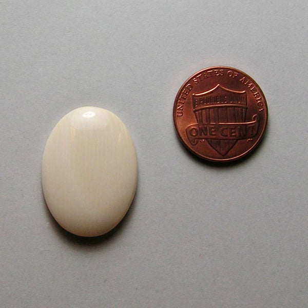 Mammoth Ivory 25x18mm Domed Cabochon