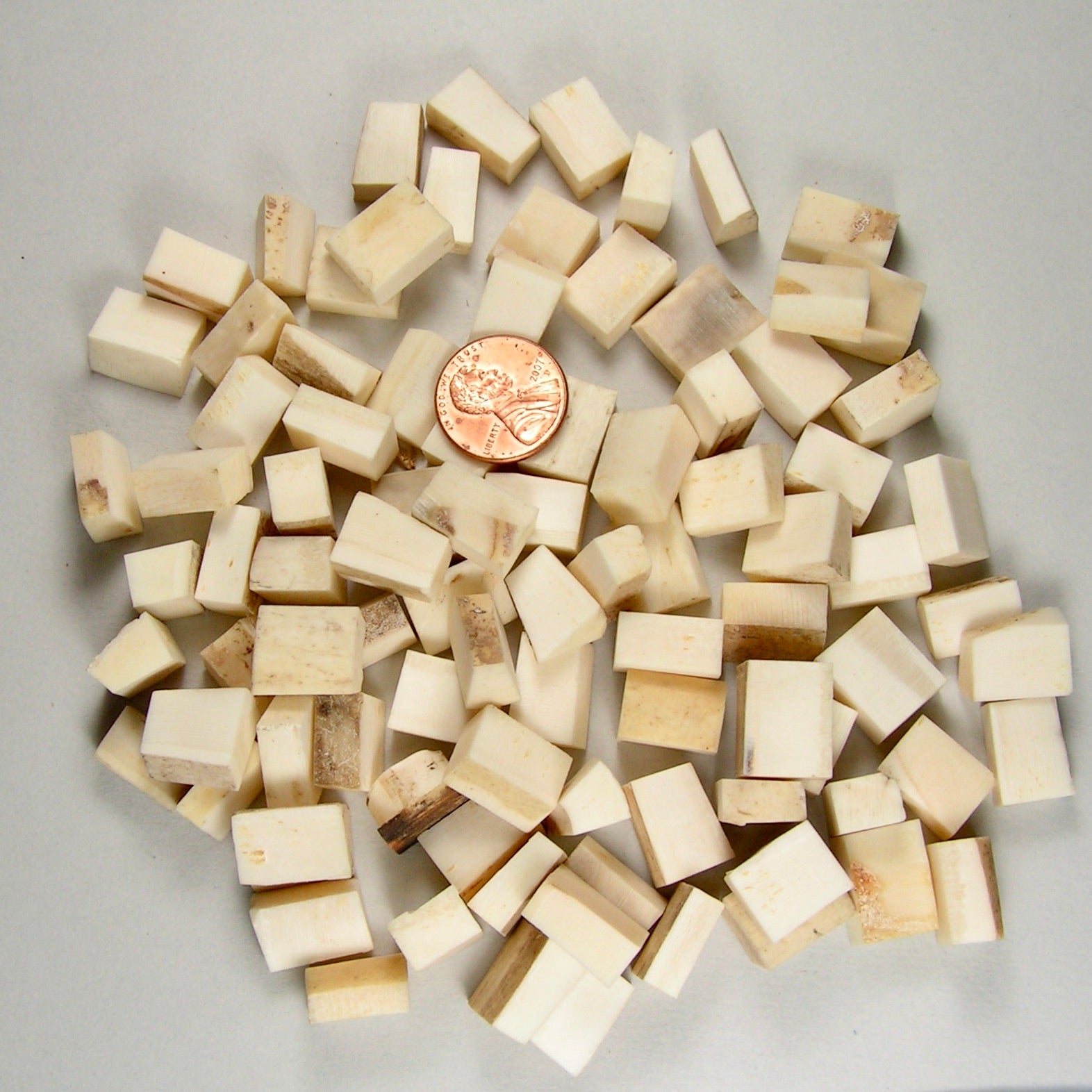 Walrus Ivory for Beads