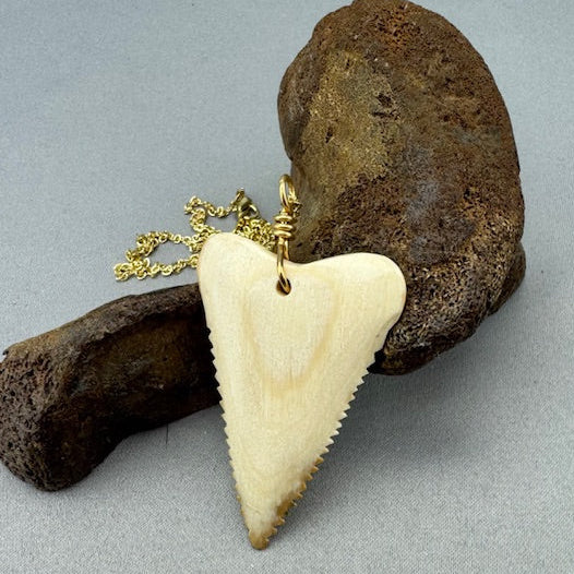 Mammoth Ivory Carved Shark Tooth Pendant SS -  04
