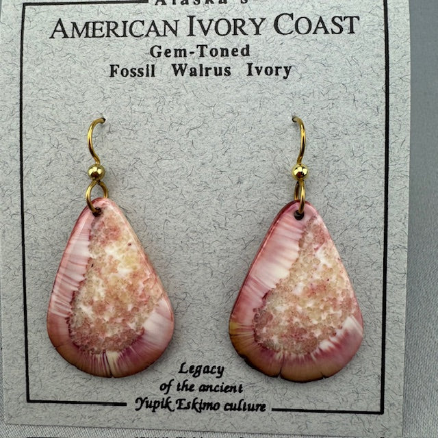 Fossil Walrus Gemtone Earrings Pair 03