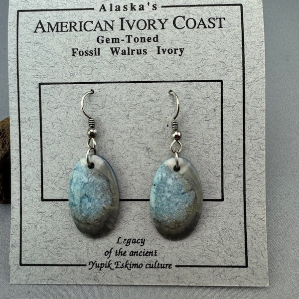 Fossil Walrus Gemtone Earrings Pair 08