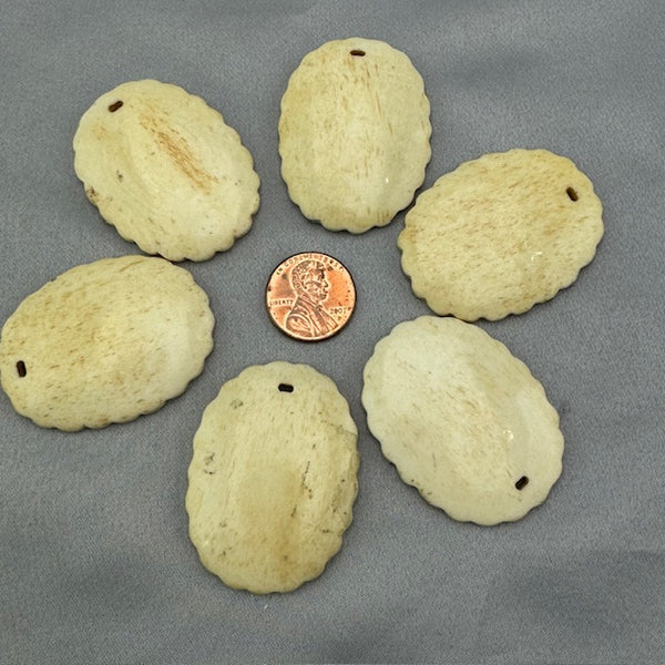 Bone Blank Lot for Scrimshaw Lot of 5pcs. - 05