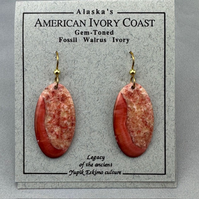 Fossil Walrus Gemtone Earrings Pair 09