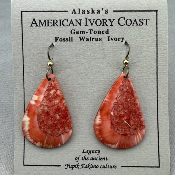 Fossil Walrus Gemtone Earrings Pair 25