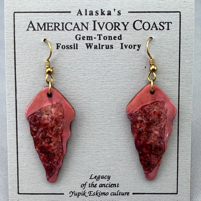 Fossil Walrus Gemtone Earrings Pair 35