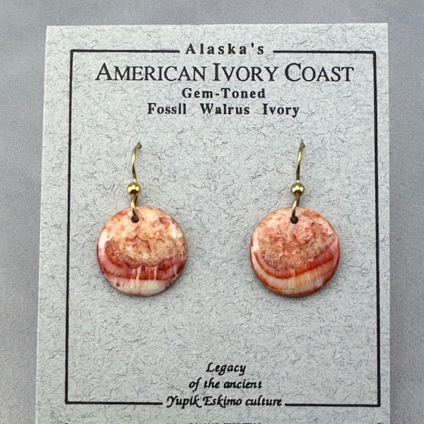 Fossil Walrus Gemtone Earrings Pair 30 