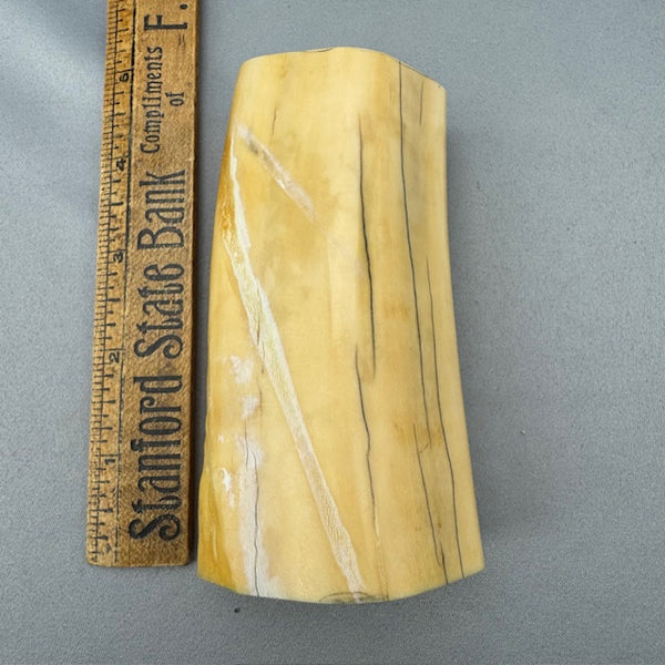 Walrus Tusk Section 41