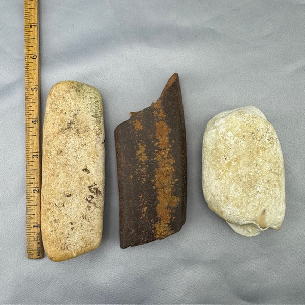 Fossil Walrus Beached Washed Ivory -Lot  12