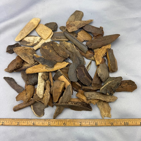 Fossil Walrus Ivory Pieces Lot 20