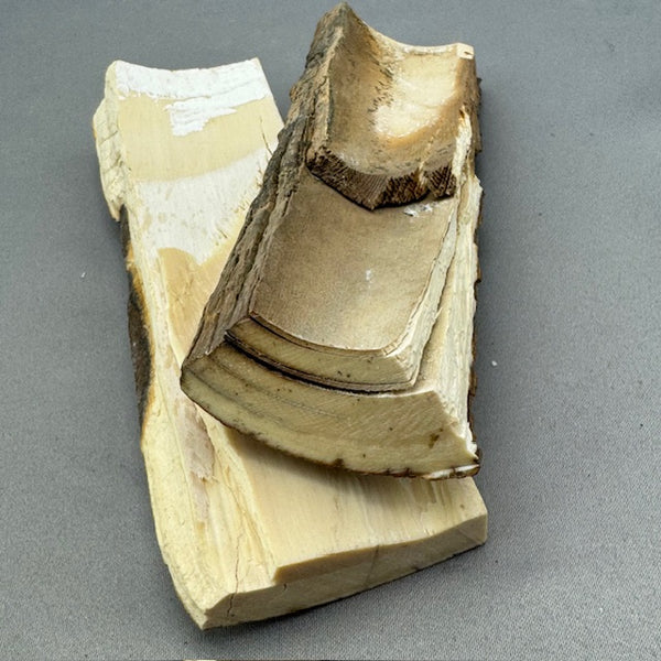 Mammoth Ivory Bark Lot- 36 | Boone Trading Company