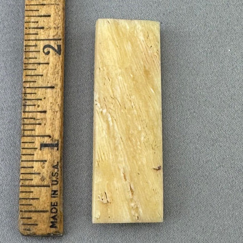 Narwhal Ivory Polished Tusk Section Wedge 35