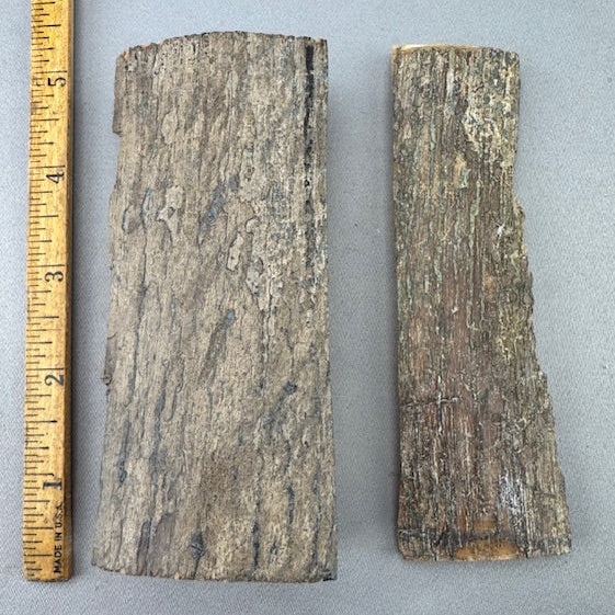 Mammoth Ivory Chunky Lot 01