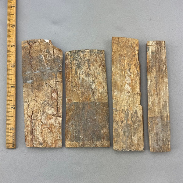 Mammoth Tusk Ivory Bark Layers - B