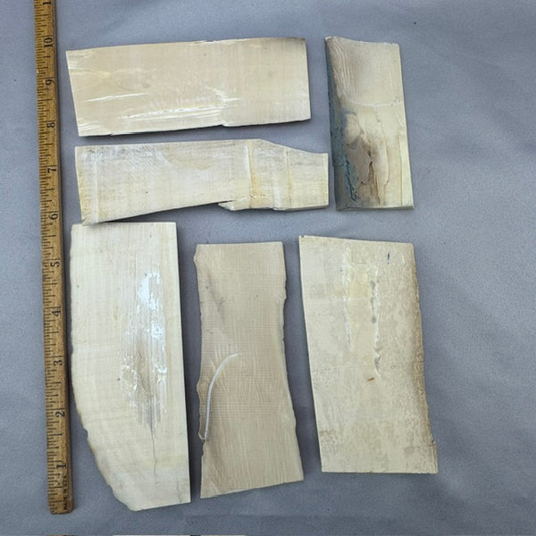 Mammoth Ivory Curved Layer Lot - 04