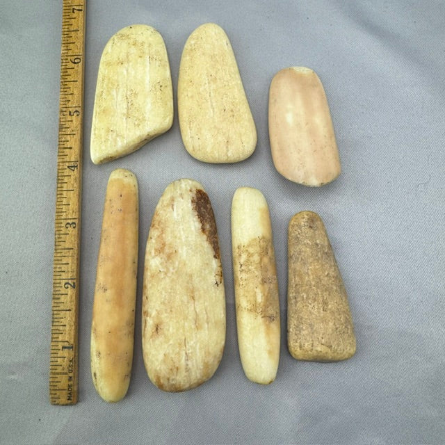 Beach Tumbled Fossil Walrus Pieces Lot 46