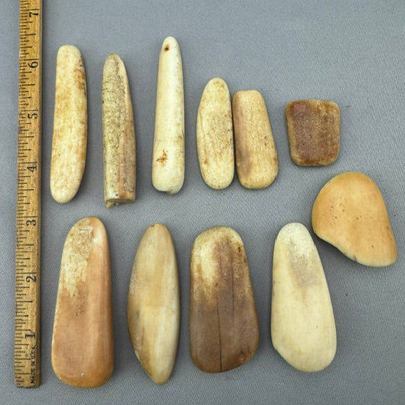 Beach Tumbled Fossil Walrus Ivory Pieces B3 