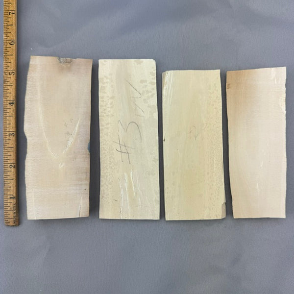 Mammoth Ivory Chunky Lot 78