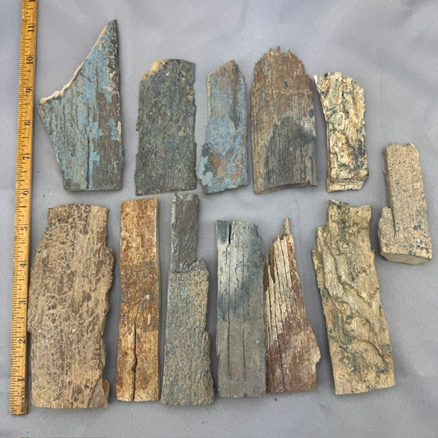 Mammoth Tusk Ivory Bark Layers - B
