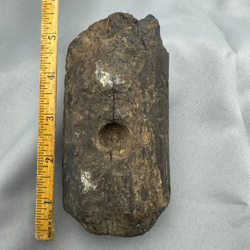 Fossil Walrus Ivory Eskimo Artifact Fire Bowl - 61