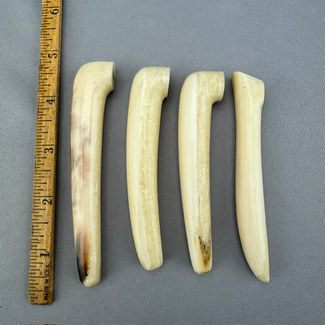 Vintage Walrus Ivory HandleLot - 68 