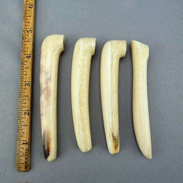 Vintage Walrus Ivory HandleLot - 68 