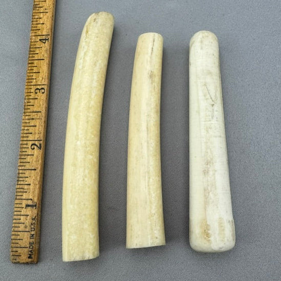 Vintage Walrus Ivory Handle Lot - 72