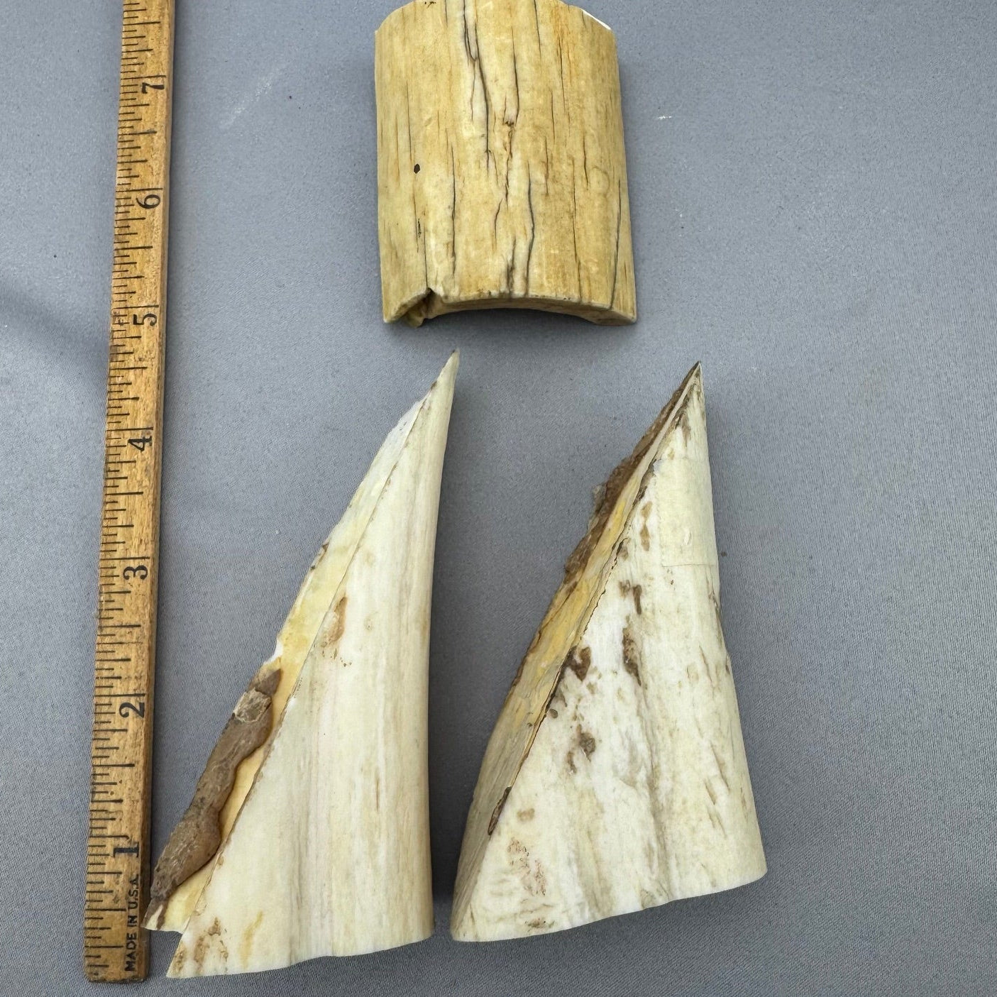 Pre 1972 White Walrus Lot 05