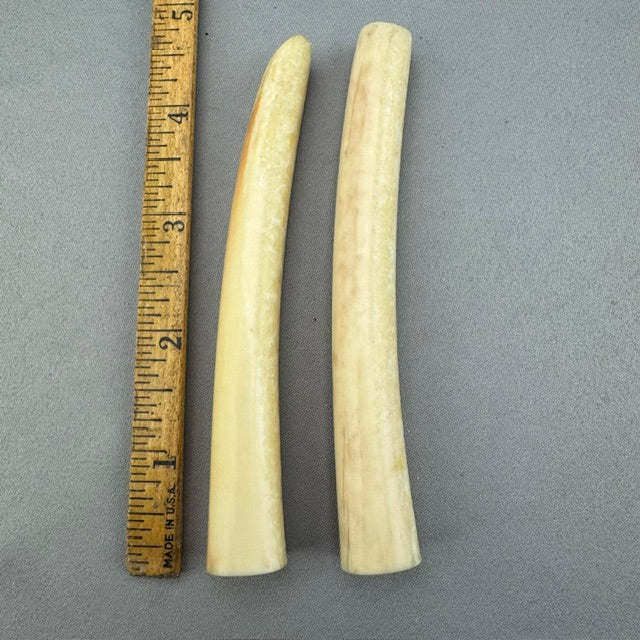 Vintage Walrus Ivory Handle Lot - 73