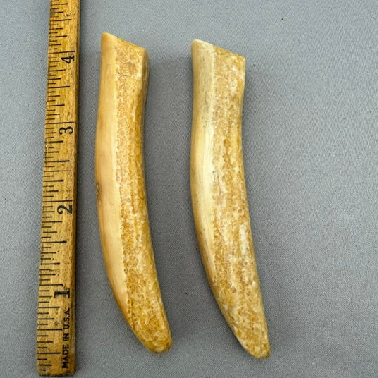 Vintage Walrus Ivory Handle Lot - 75