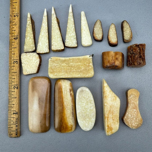 Fossil Walrus Ivory Lot 27 