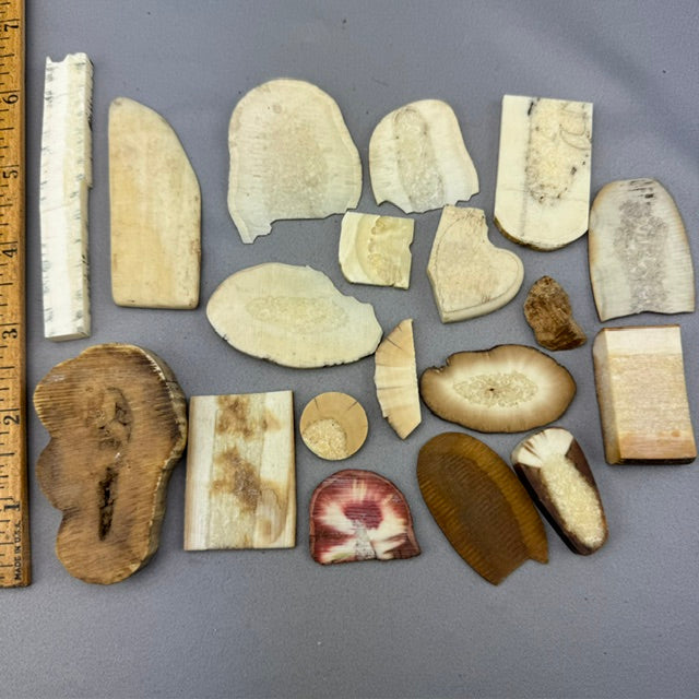 Mixed Fossil & White Pre 1972 Walrus Ivory Pieces Lot 20