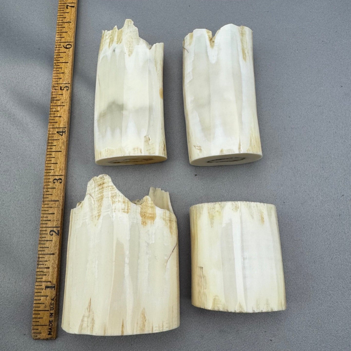 Pre 1972 White Walrus Polished Hollow Lot 07 