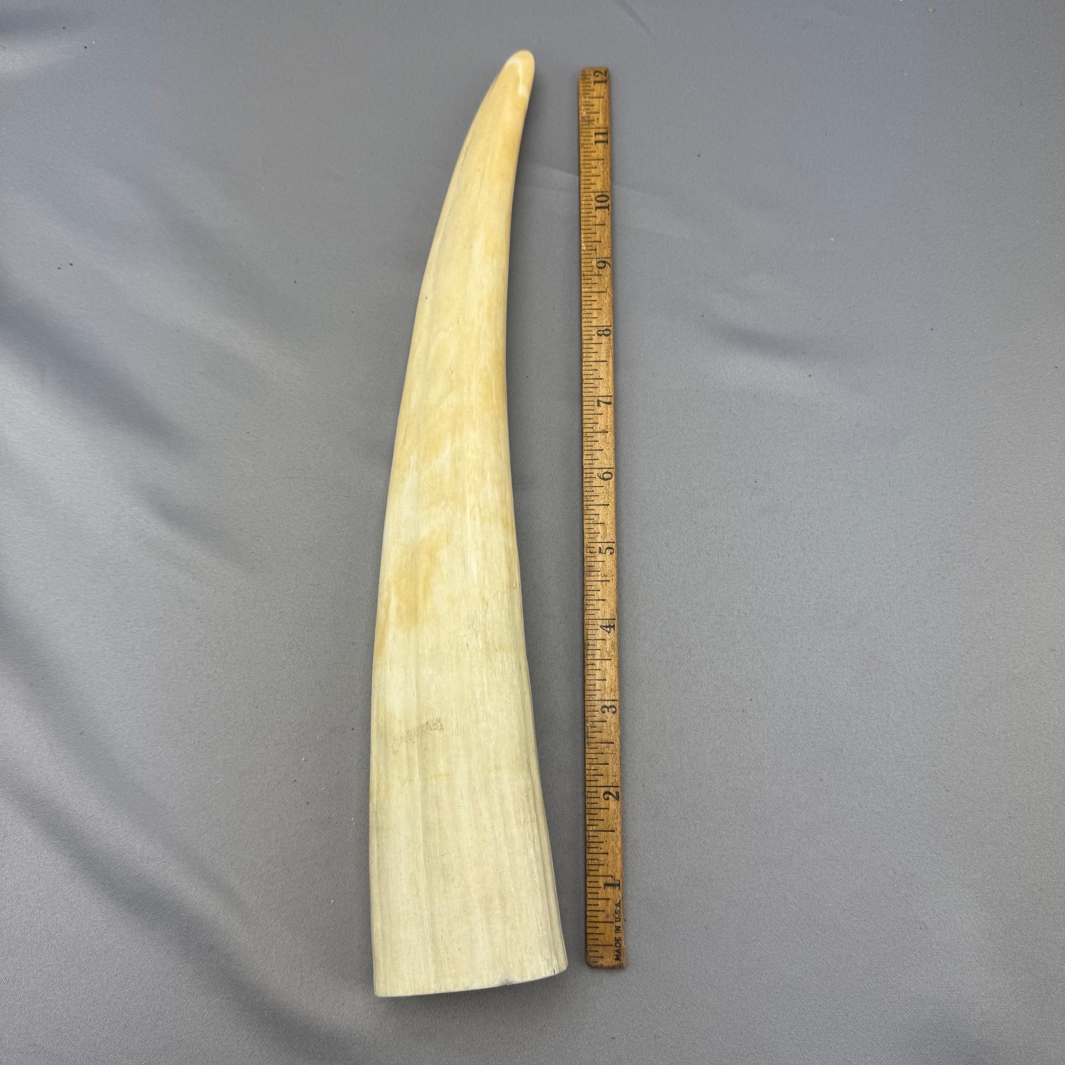Pre 1972 White Walrus Ivory Cross Cuts 9 Pc. Lot - 10