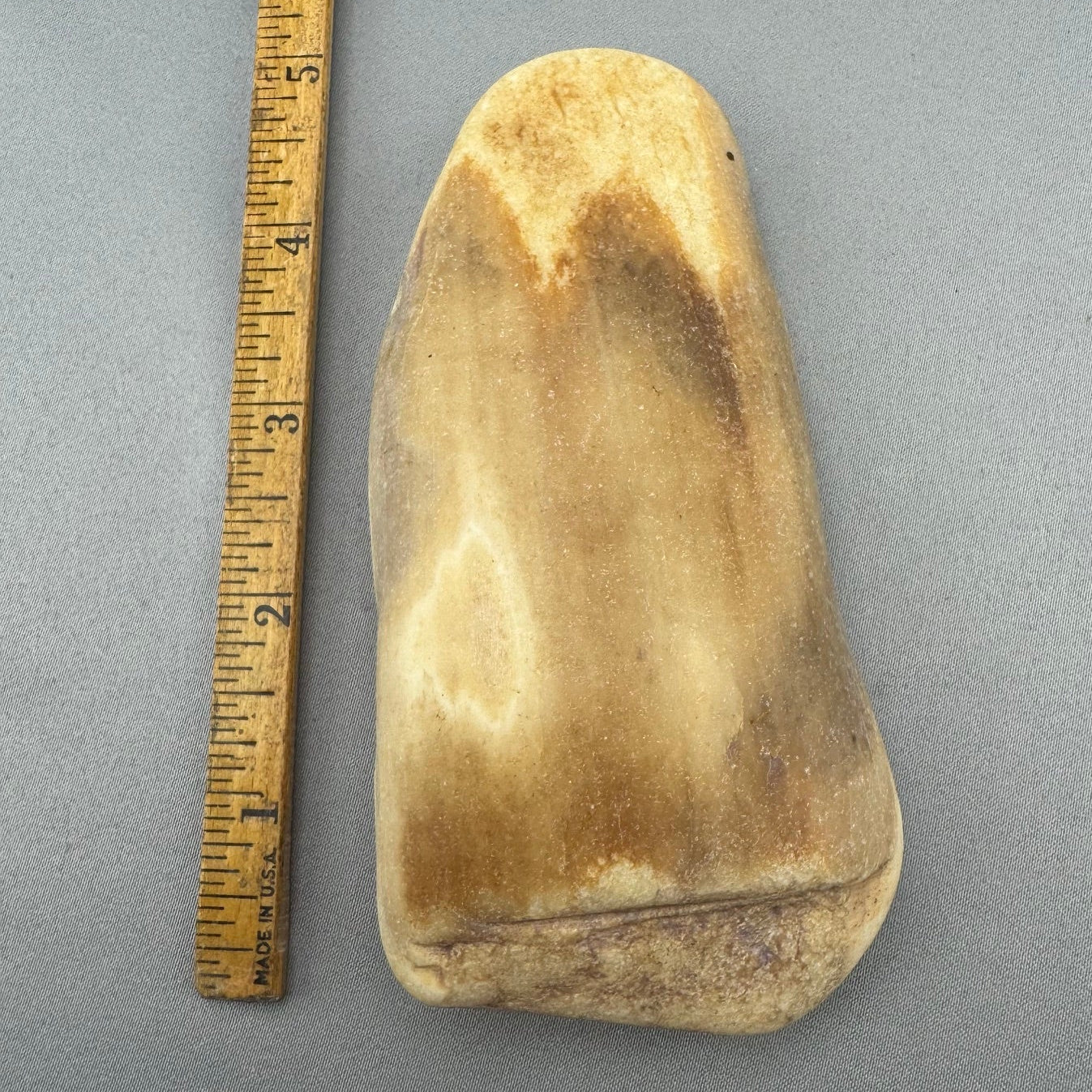 Fossil Walrus Beach Washed Ivory Tusk Piece Lot 50 