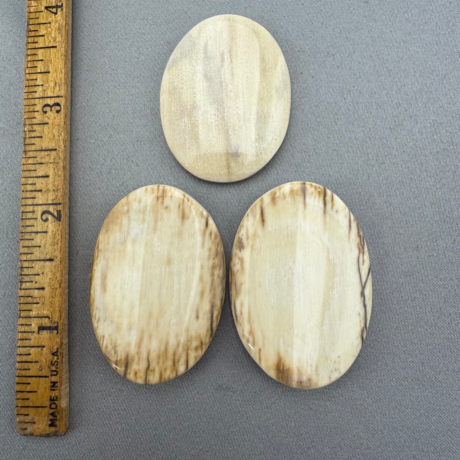 Polished Mammoth Ivory Pendant Pieces - Lot 10 