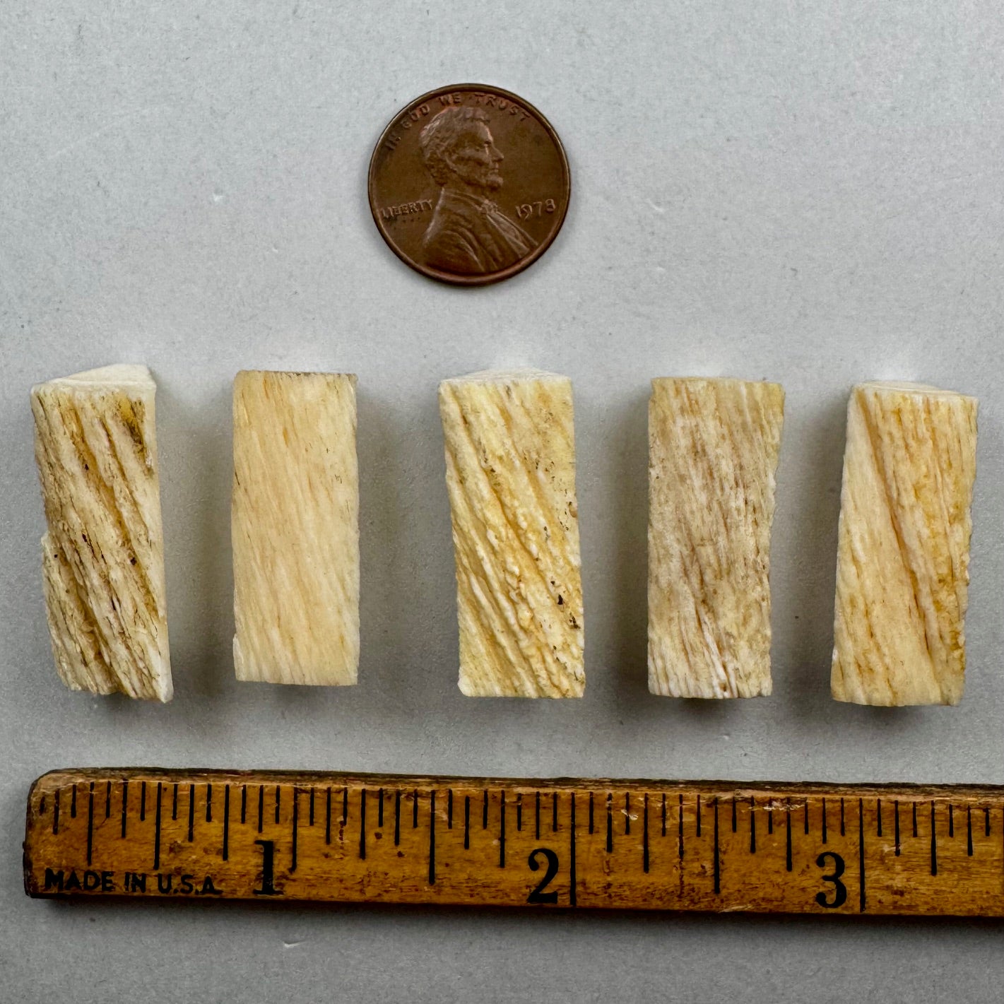 Narwhal Ivory 3/8" Wide Short Wedges - (A) (we Pick) NEW!