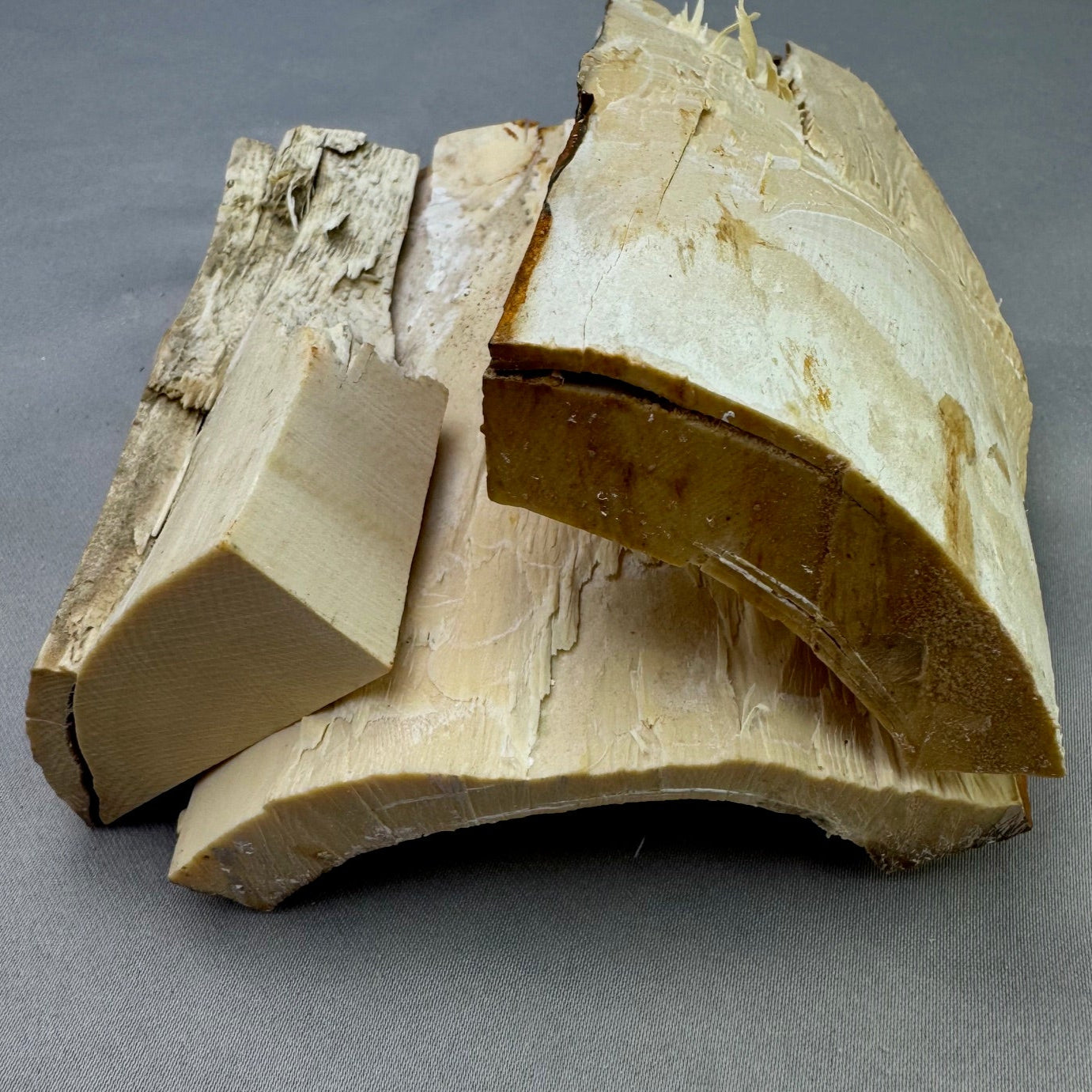 Mammoth Ivory Chunky Lot 01 