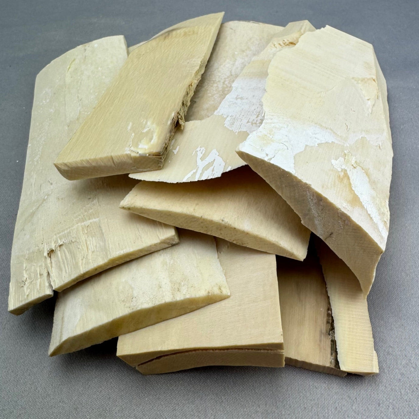 Mammoth Ivory Curved Layer Lot - 04