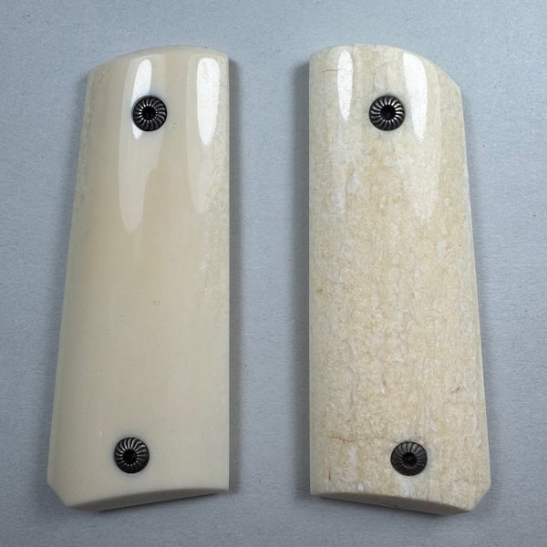 1911 COMPACT/OFFICERS Model Pre-1972 Walrus Ivory Grips (OM01)-NEW!