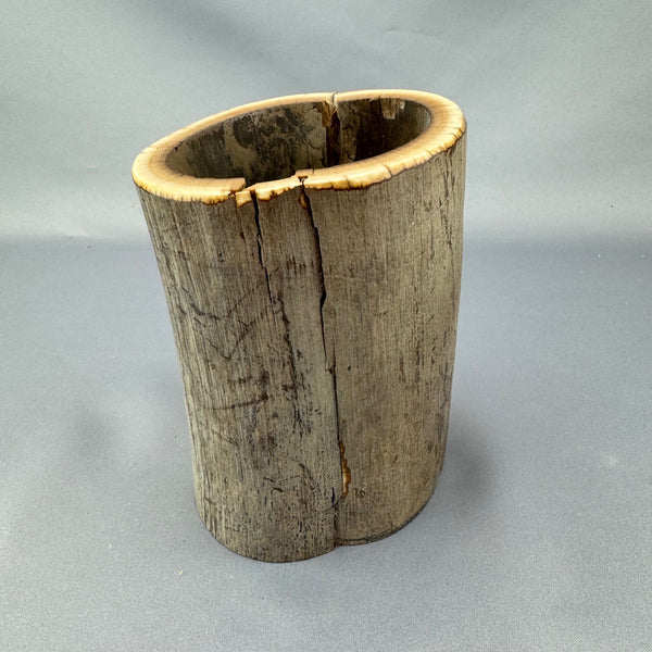 Mammoth Ivory Tusk Section With Hollow 28