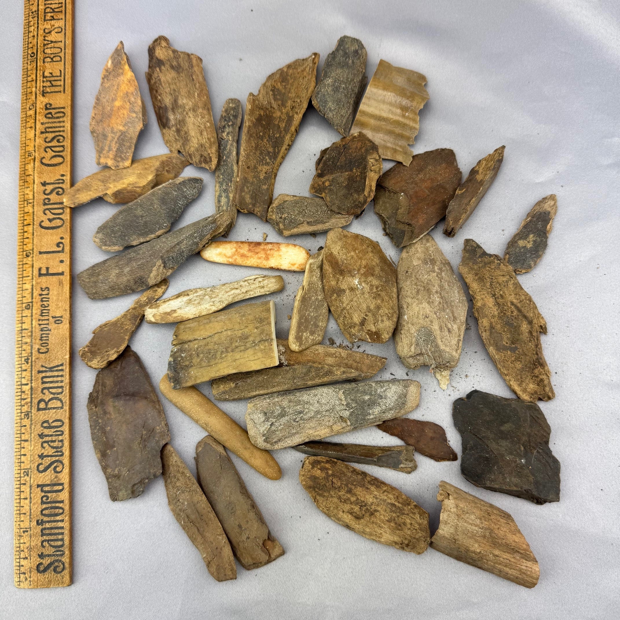 Fossil Walrus Ivory Pieces Lot 20 